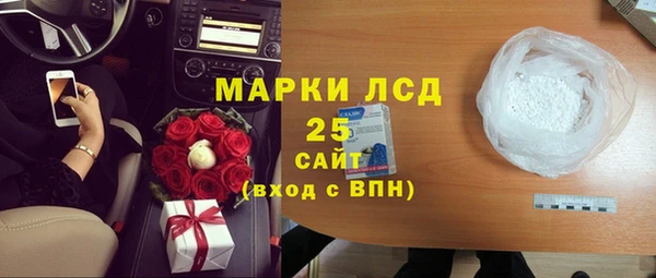 a pvp Болотное
