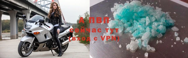 2c-b Новозыбков