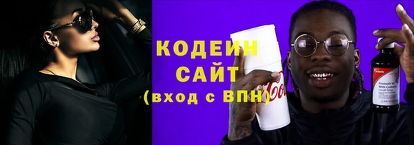 амф Няндома