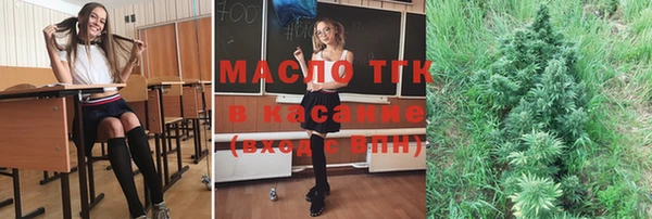 2c-b Новозыбков