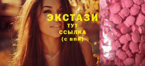 2c-b Новозыбков