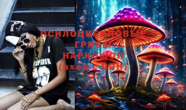 2c-b Новозыбков