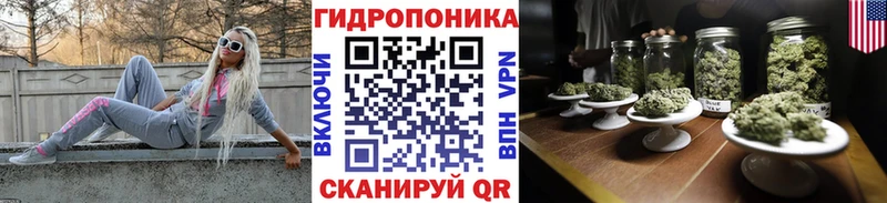 закладки  OMG ссылка  Марихуана тримм  нарко площадка клад  Чусовой 